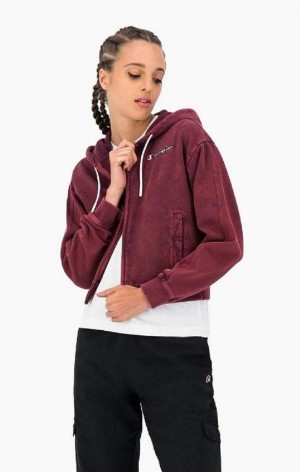 Champion Satin Stitch Script Logo Hoodie Kadın Kapşonlu Koyu Mor | 7912-YSPZX