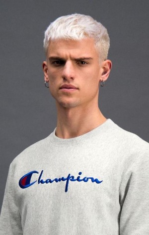 Champion Script Logo Reverse Weave Sweatshirt Erkek Tişörtü Açık Gri | 9471-URHYF