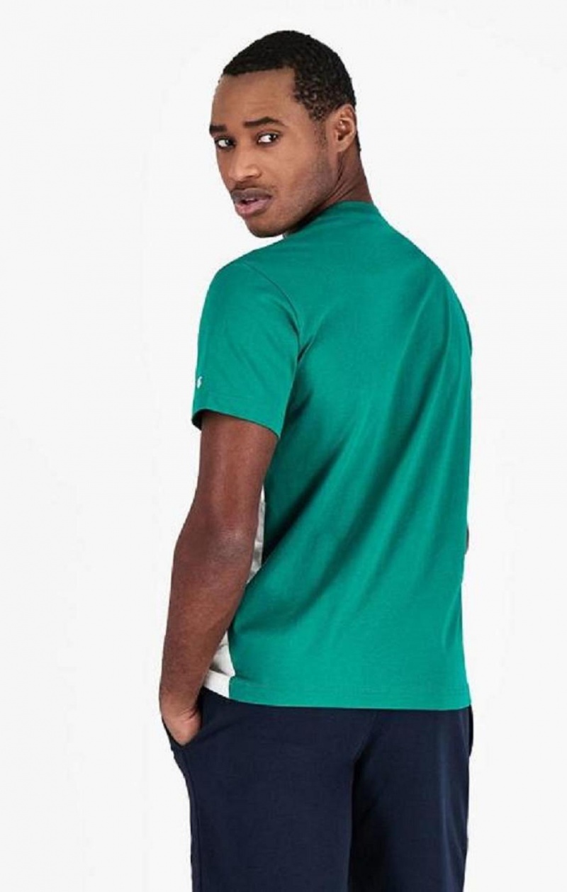 Champion Colour Block Script Logo T-Shirt Erkek Tişört Açık Yeşil | 2413-NLWXZ