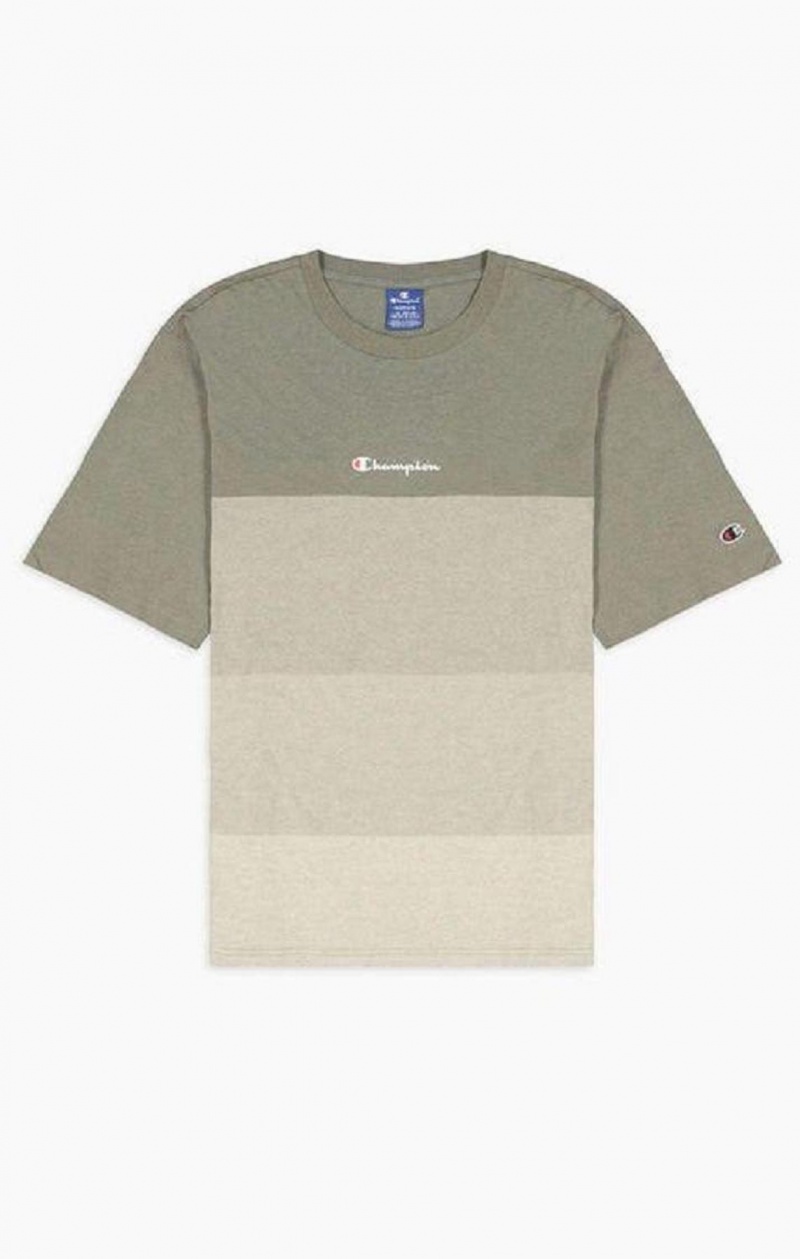 Champion Ombré Panelled T-Shirt Erkek Tişört Yeşil | 4087-TIKYF