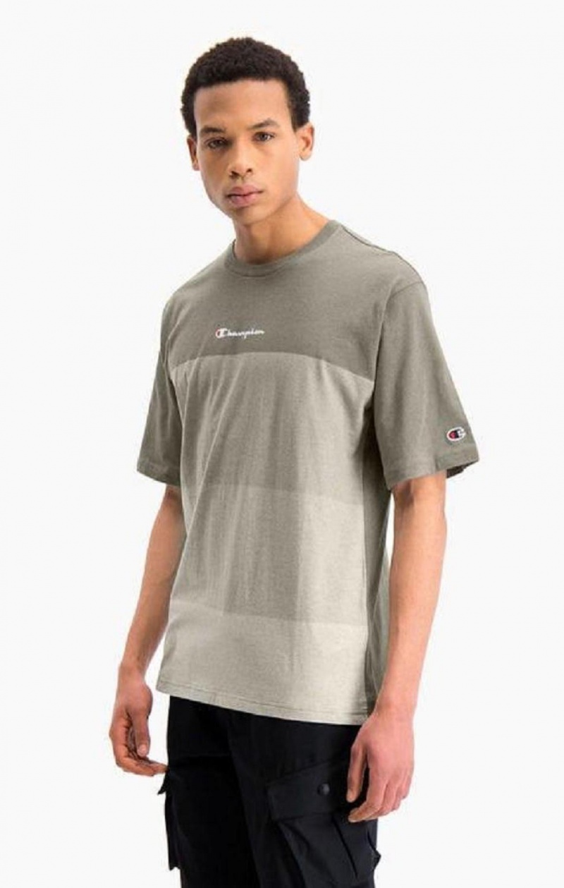 Champion Ombré Panelled T-Shirt Erkek Tişört Yeşil | 4087-TIKYF