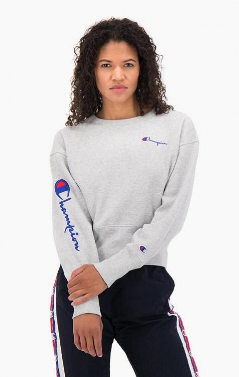 Champion Script Logo High Rib Reverse Weave Sweatshirt Kadın Tişörtü Açık Gri | 6193-NBAVD