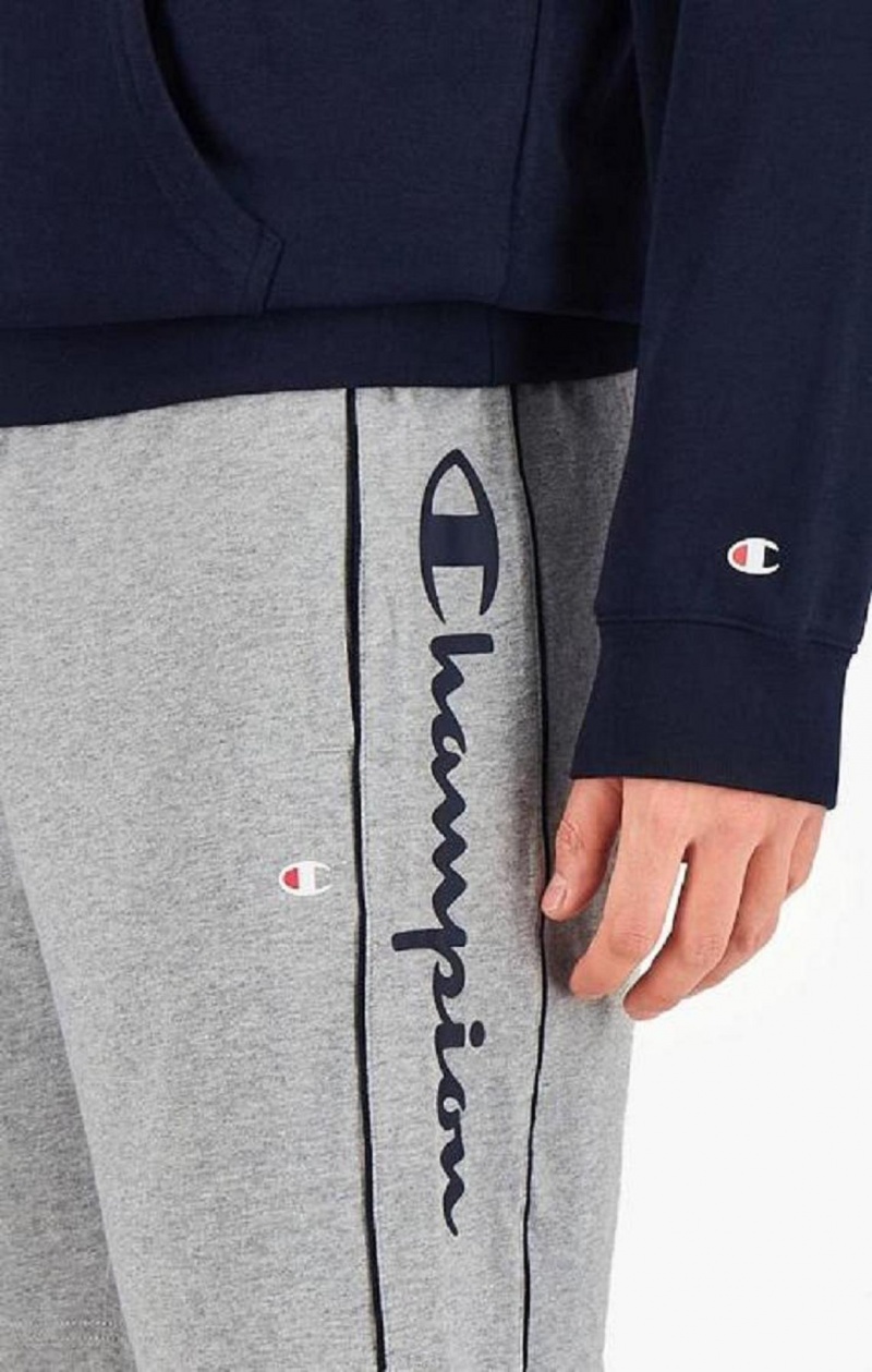 Champion Script Logo Pamuklu Shorts Erkek Şort Açık Gri | 8293-KBXOG